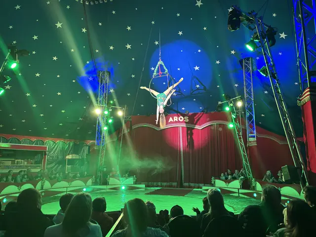 Mit Eleganz und viel Können zeigen die Artistinnen und Artisten des Circus Aros ihr Können in luftiger Höhe. | Foto: Rosenberger Victoria