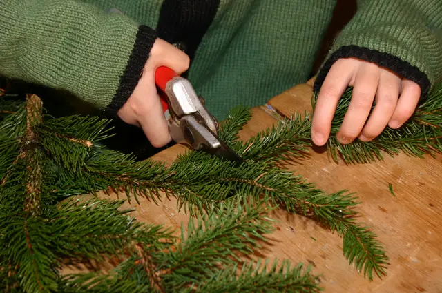 Tannenzweige, Draht und geschickte Hände: Schritt für Schritt entsteht aus frischem Grün ein traditioneller Adventkranz. | Foto: Volkskultur Steiermark