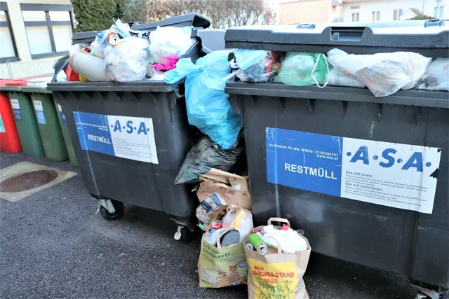 Die junge Katze wurde in einem Restmüllcontainer in einem zugeschnürten Schuhkarton entsorgt.  | Foto: Symbolbild Ertl