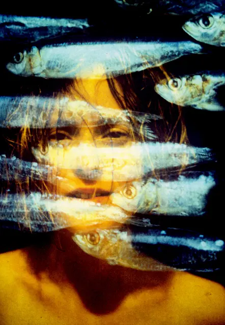 Fisch88 - LIMITS - eine Vortragsreihe | Foto: Kristine Tornquist