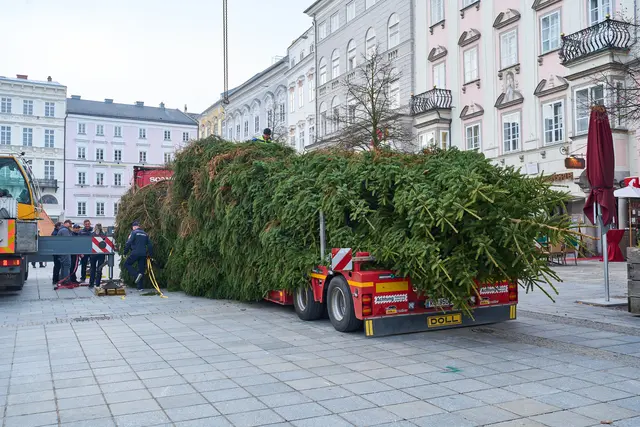 Foto: Brugger Andreas/Martin Hauer
