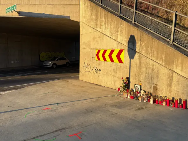 Foto: MeinBezirk.at/Stephan Fugger