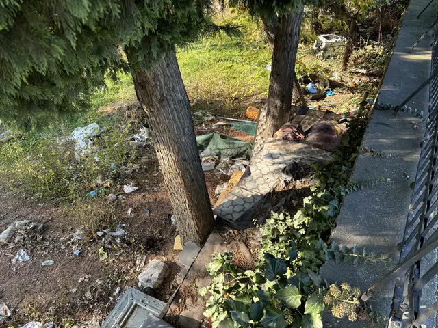 Das Grundstück wird derzeit bei einem Schätzwert von vier Millionen Euro veräußert.  | Foto: Luca Arztmann/MeinBezirk