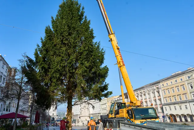 Foto: Brugger Andreas/Martin Hauer