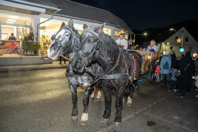Pferdekutschenfahrten dürfen beim Jagdlichen Advent natürlich auch nicht fehlen. | Foto: Paller