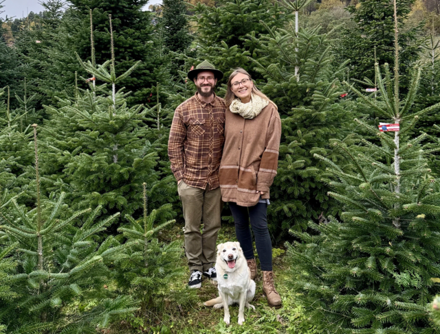 Sie beliefern Villach mit Bäumen: Markus Deschmann, Christina Madritsch &amp; Hündin Bonnie in der Christbaumkultur in Döbriach. | Foto: Privat 