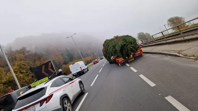 Foto: Brugger Andreas/Martin Hauer