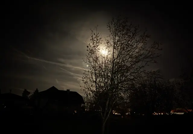 Ich wünsche euch einen schönen Abend ✨✨ | Foto: Martina Laserer