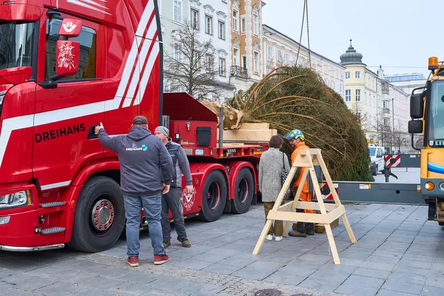 Foto: Brugger Andreas/Martin Hauer