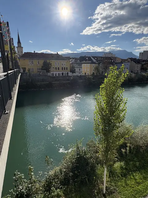 Sogenannte "Wächterbäume" zieren die Draupromenade. | Foto: Stadt Villach/Santner