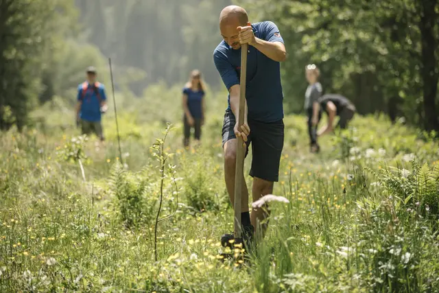Der Auwald ist ein enorm wichtiges Ökosystem.  | Foto: flo smith