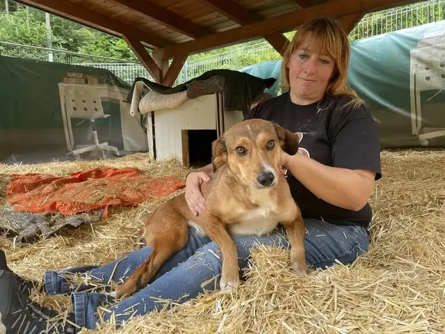 Sandra Stibi und einer ihrer Tierschutzhunde. Stibi leitet in St. Barbara ein Tierschutzhaus, in dem 20 Hunde auf ein neues Zuhause warten.  | Foto: MeinBezirk/Angelina Koidl