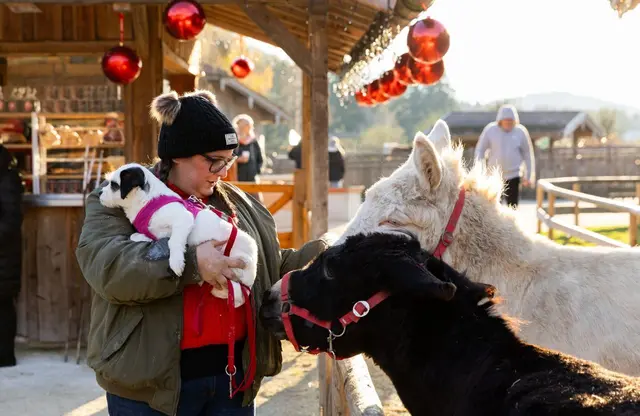 Tierische Begegnungen am Weihnachtsmarkt. | Foto: Gut Aiderbichl