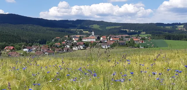 Startschuss für schnelles Internet: Die Gemeinde Wenigzell und die Feistritzwerke treiben gemeinsam den Ausbau voran. | Foto: RMA Archiv