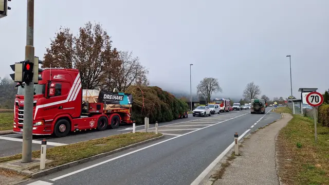 Foto: Brugger Andreas/Martin Hauer