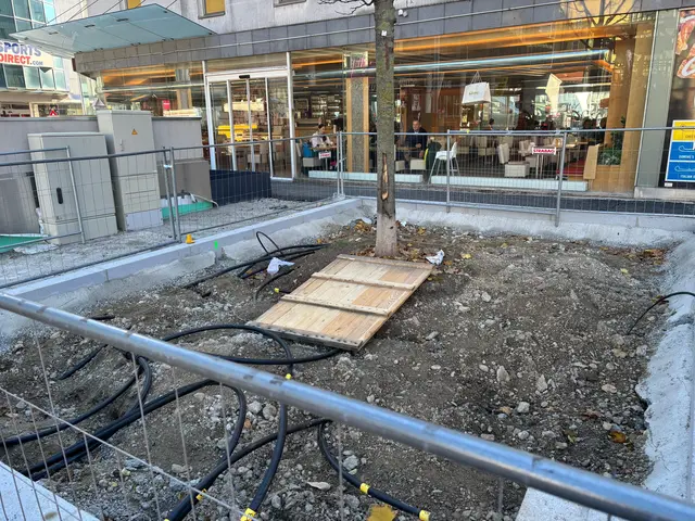 Foto: Antonio Šećerović/MeinBezirk