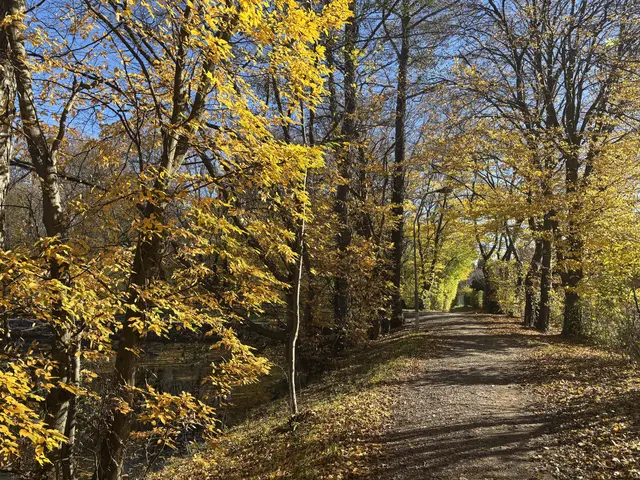 Lainzer Teich | Foto: Marlene Graupner/MeinBezirk