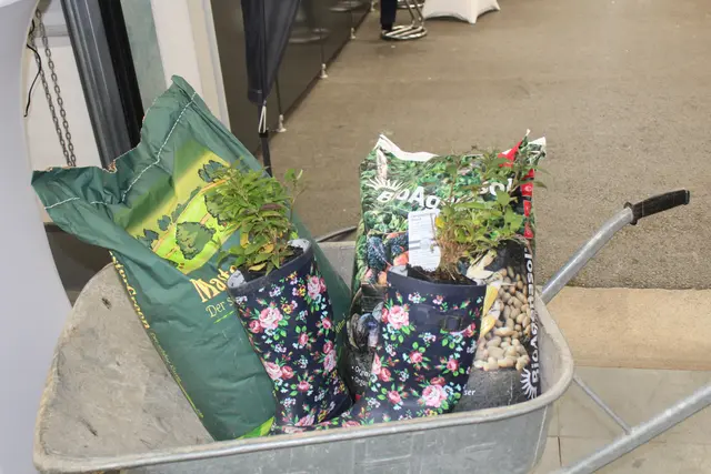 20. Berufs- und Bildungsmesse Perg | Foto: MeinBezirk Perg/Köck