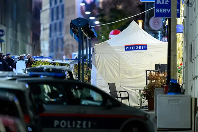 Foto: MAX SLOVENCIK / APA / picturedesk.com