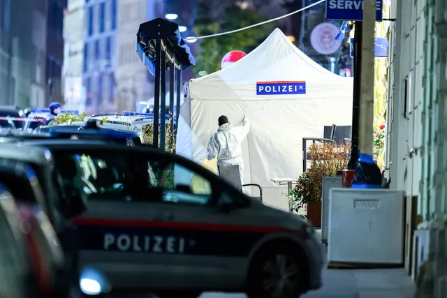 Foto: MAX SLOVENCIK / APA / picturedesk.com