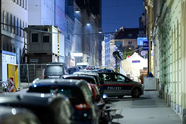 Foto: MAX SLOVENCIK / APA / picturedesk.com