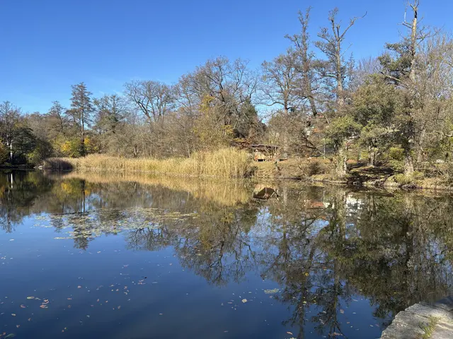 Lainzer Teich | Foto: Marlene Graupner/MeinBezirk