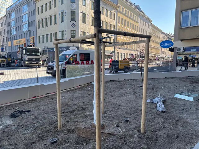 Foto: Antonio Šećerović/MeinBezirk