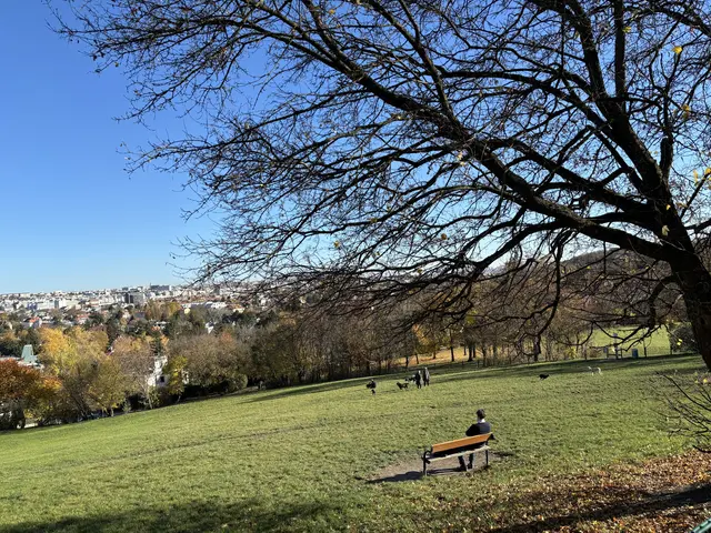 Roter Berg | Foto: Marlene Graupner/MeinBezirk