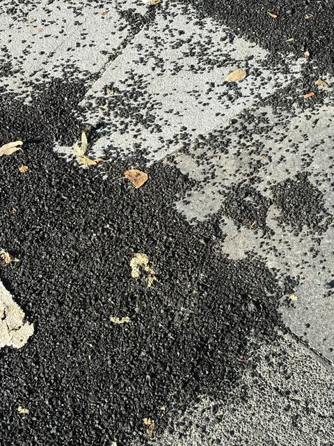 Foto: Antonio Šećerović/MeinBezirk