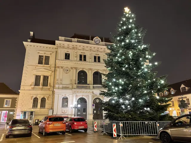 Die BH Tulln. | Foto: Victoria Edlinger