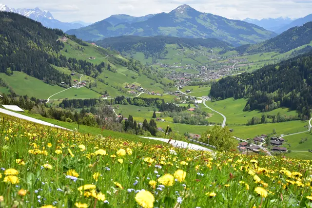 In Abfaltersbach kam es zu einem Unfall mit vier Fahrzeugen. In Wildschönau führte eine eisige Fahrbahn dazu, dass eine E-Bikefahrerin zu Sturz kam. | Foto: Georg Hechenblaickner