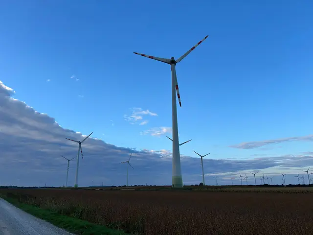 Windräder prägen unser Landschaftsbild. | Foto: Taha Al Jarad.