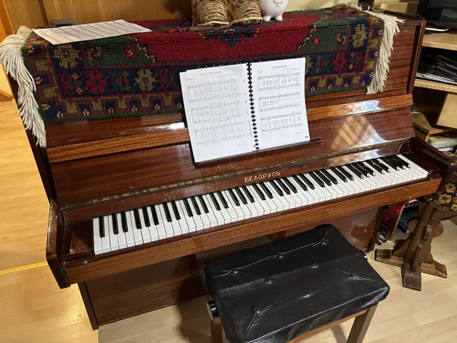 Neben dem Akkordeon, der Gitarre und dem Bariton war das Klavier bereits in frühen Jahren das Musikinstrument, dass Valentin Zirgoi faszinierte und inspirierte. | Foto: RegionalMedien