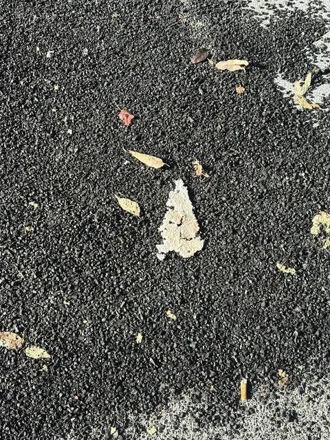 Foto: Antonio Šećerović/MeinBezirk