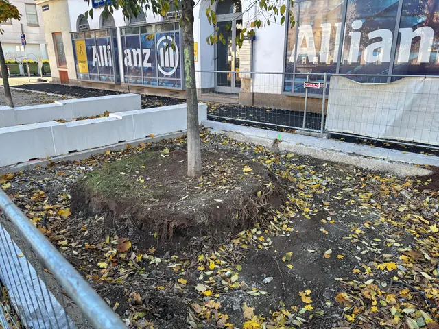 Foto: Antonio Šećerović/MeinBezirk