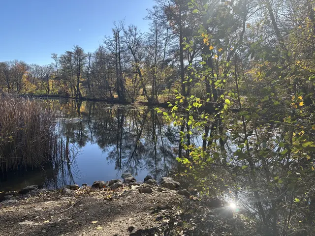 Am Lainzer Teich lässt sich die Natur von Hietzing besonders schön genießen. | Foto: Marlene Graupner/MeinBezirk