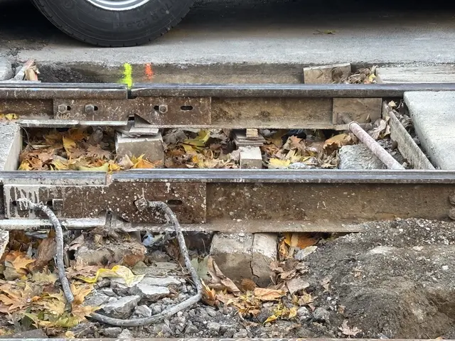 Foto: Andreas Pölzl/MeinBezirk