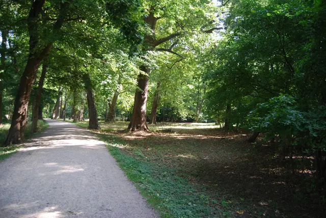 Der Harrachpark, Bruck/Leitha | Foto: Lisa Kerper