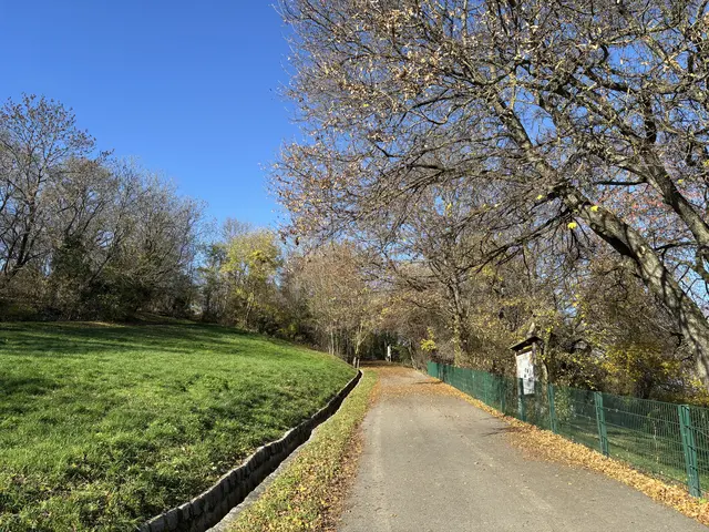 Roter Berg | Foto: Marlene Graupner/MeinBezirk