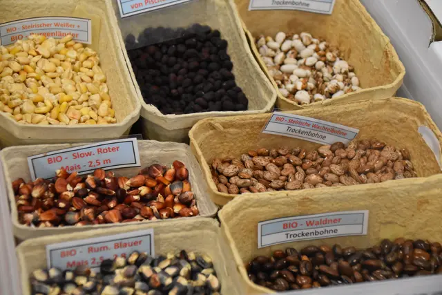 Foto: Michael Strini