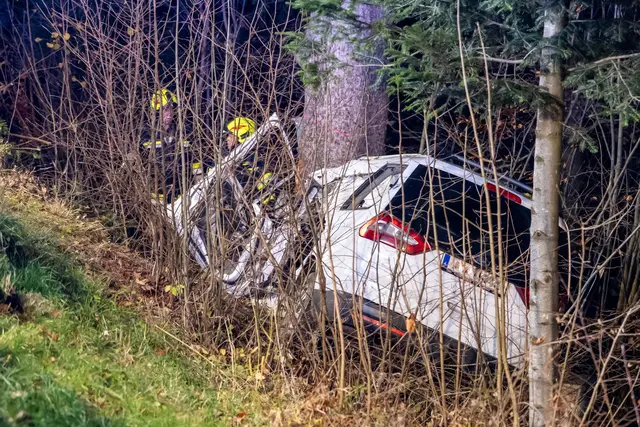 Foto: TEAM FOTOKERSCHI / FRANZ PLECHINGER