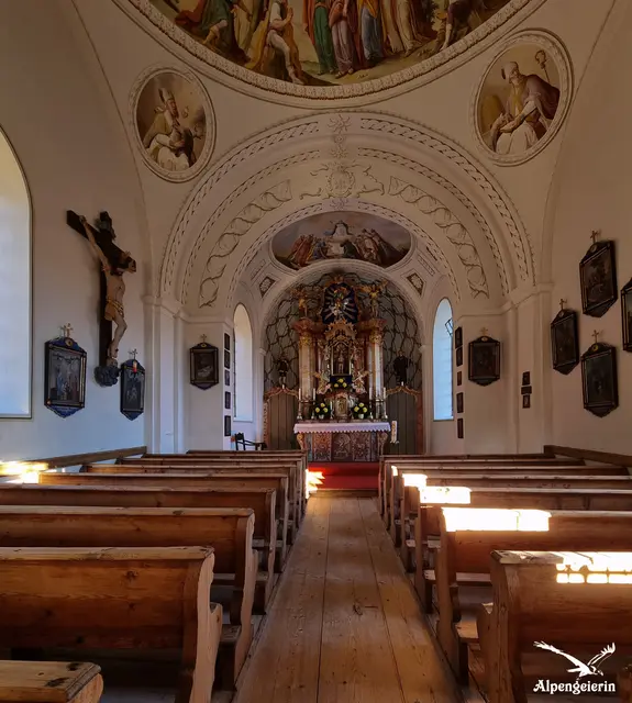 Foto: Janet Bleiker/ Alpengeierin