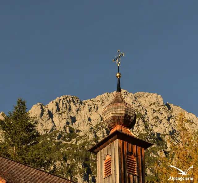 Foto: Janet Bleiker/ Alpengeierin