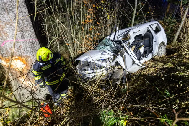 Foto: TEAM FOTOKERSCHI / FRANZ PLECHINGER