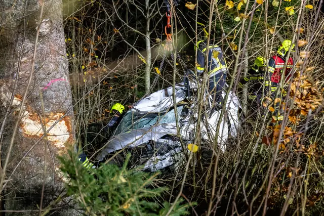 Foto: TEAM FOTOKERSCHI / FRANZ PLECHINGER