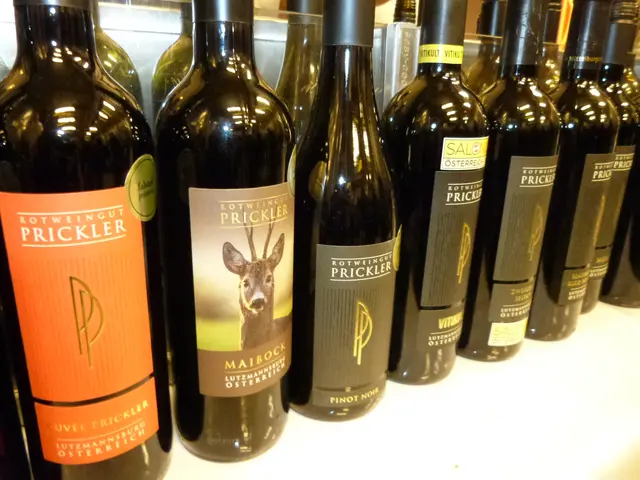 Foto: Vanessa Wittmann