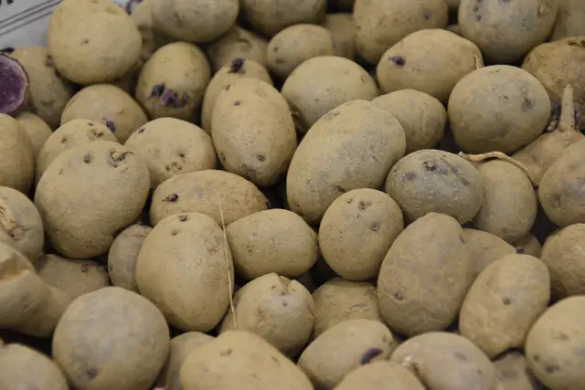 Foto: Michael Strini