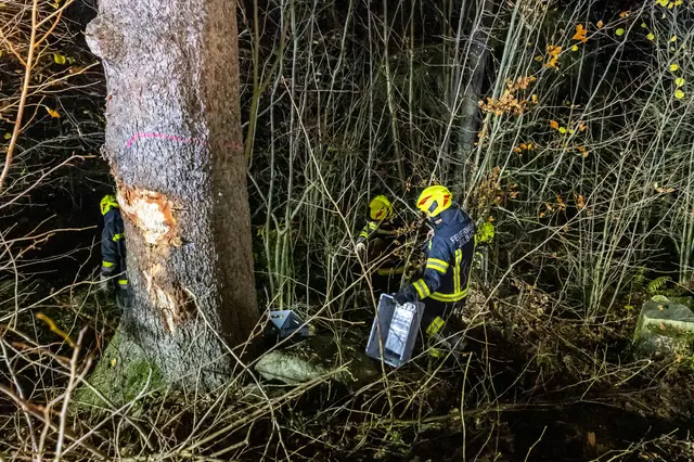 Foto: TEAM FOTOKERSCHI / FRANZ PLECHINGER