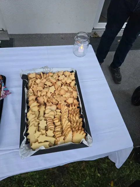 Foto: Laura Eipeldauer