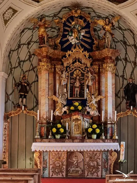 Foto: Janet Bleiker/ Alpengeierin